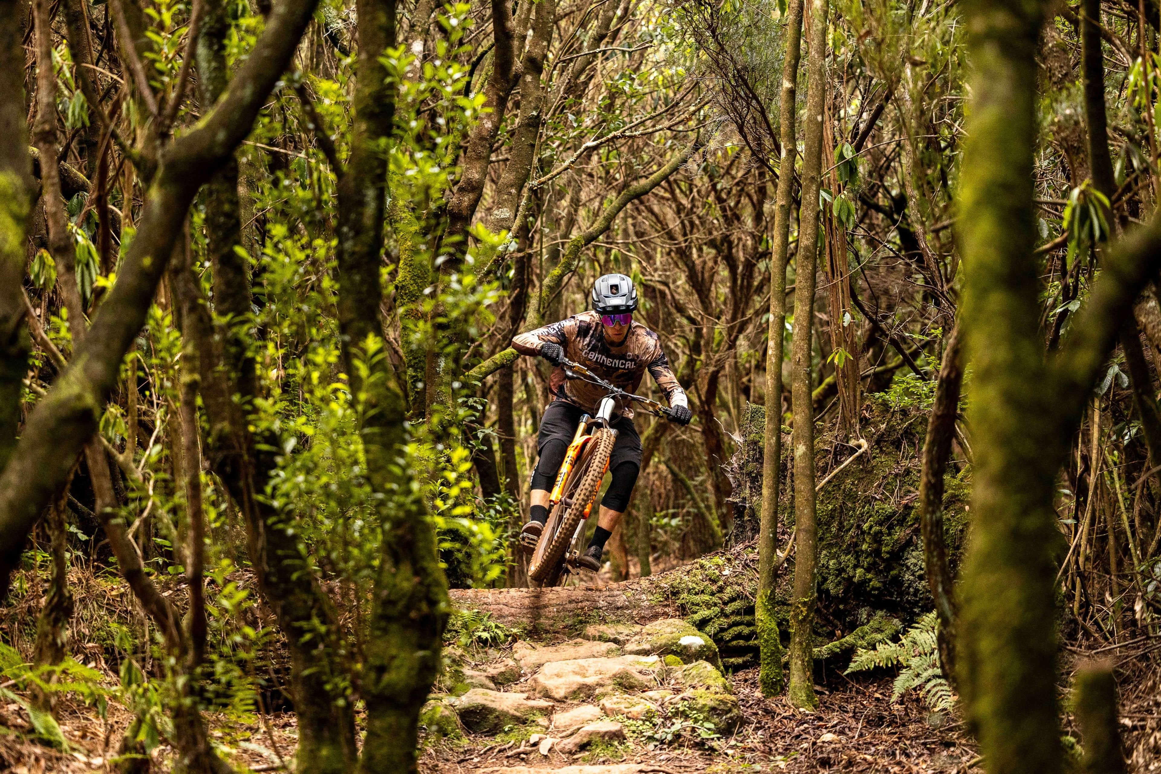 Mountain biker riding a rocky trail through a mossy laurel forest on Madeira