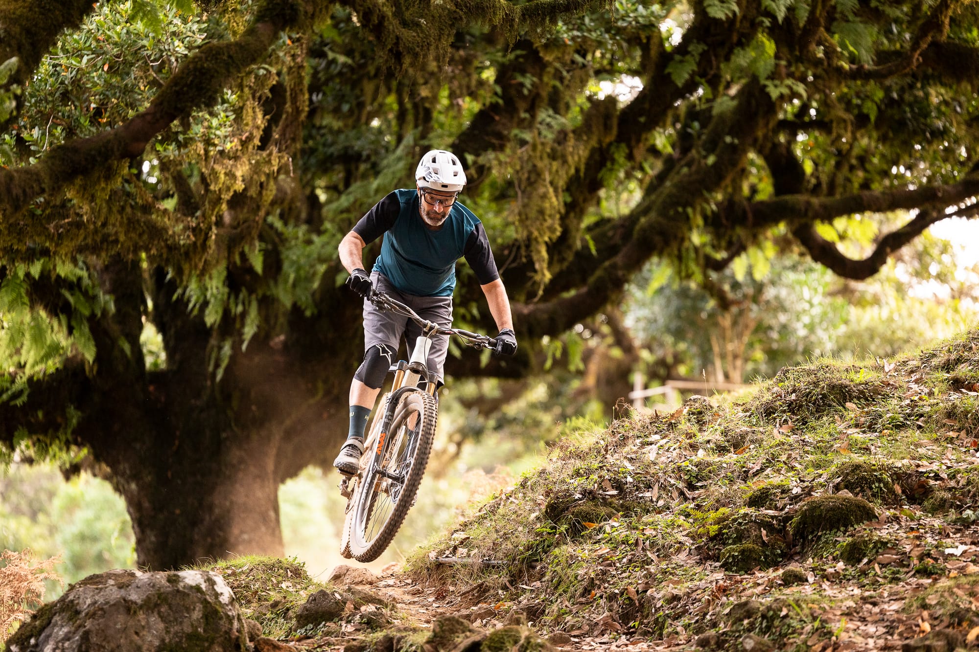 Rider dropping in beneath the ancient laurel trees of Fanal