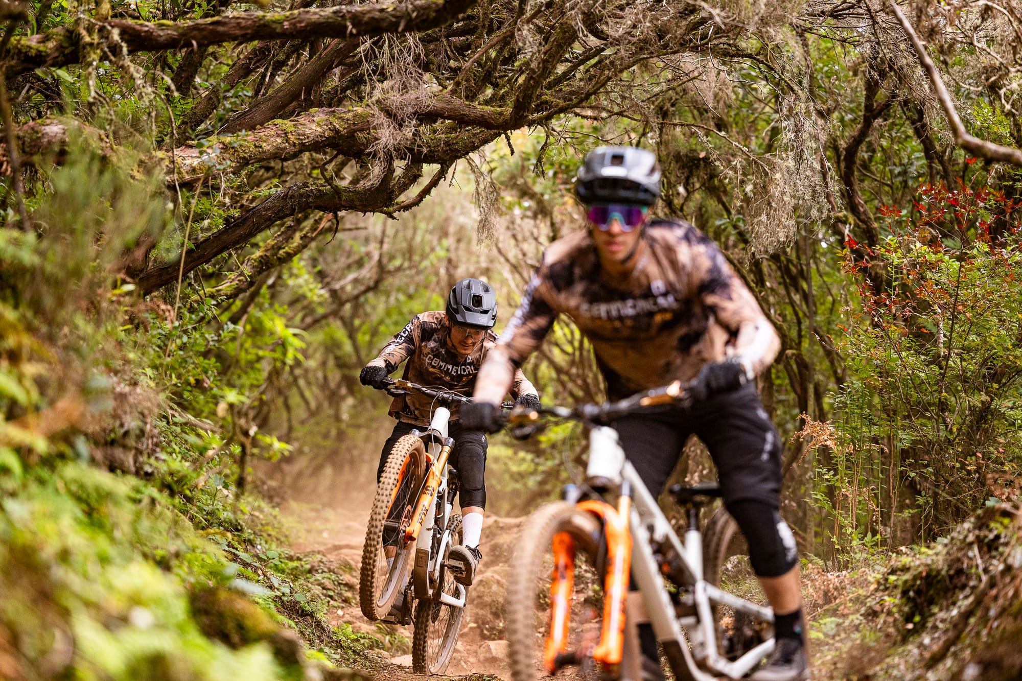Two Commençal riders charging down a trail through the laurel forest